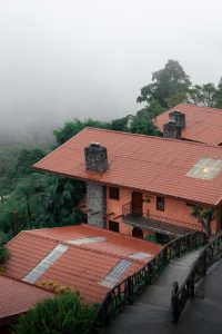 A rustic house with red roof nestled in a misty jungle environment, showcasing tropical nature.